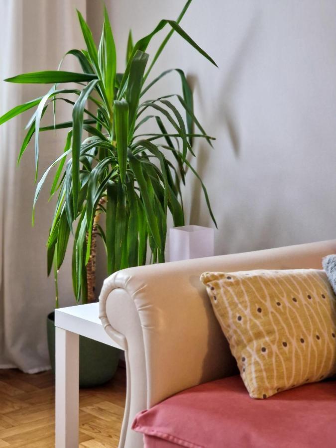 Quiet Center Apartment Сремска Митровица Екстериор снимка